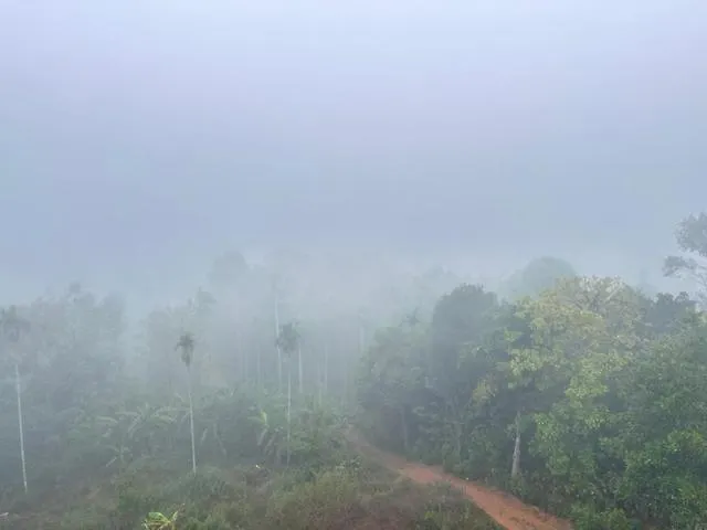 Wayanad Vista Service Apartment 0*,